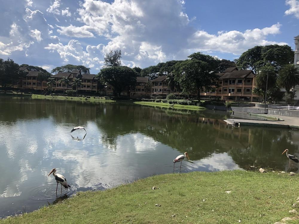 Hotel Flamingo By The Lake, Kuala Lumpur